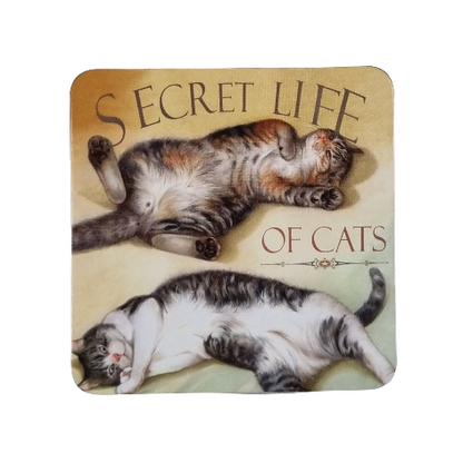 Onderzetter 38-010 - Secret Life of Cats 2