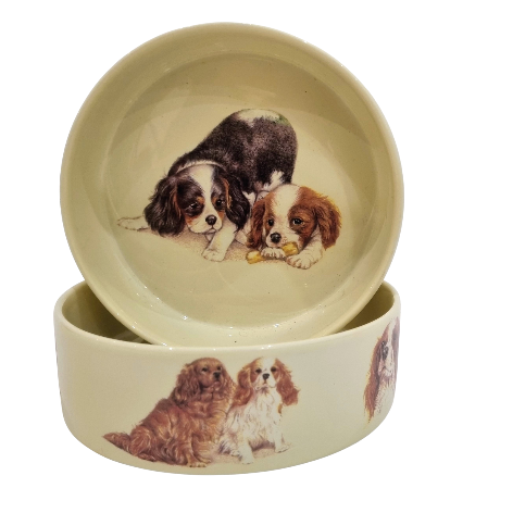 Voerbak Cavalier King Charles Spaniel
