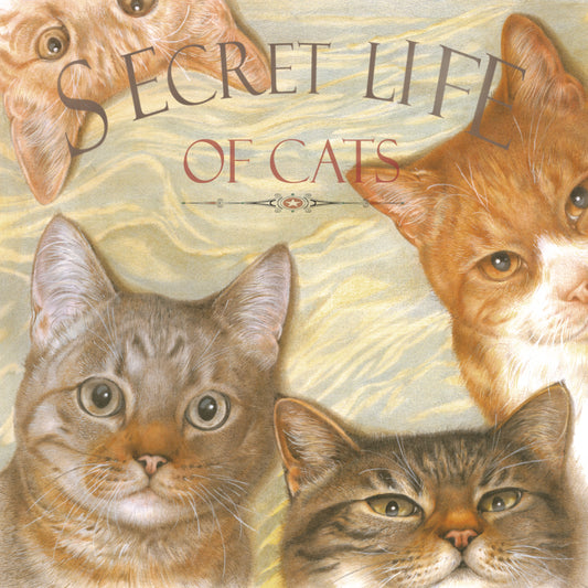 Set of 4 coasters - Cat series - Secret Life of Cats
