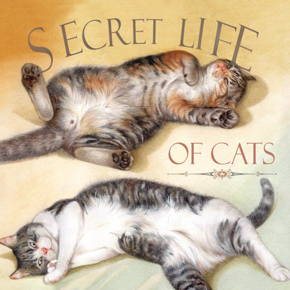 Set van 4 onderzetters - Kattenserie - Secret Life of Cats