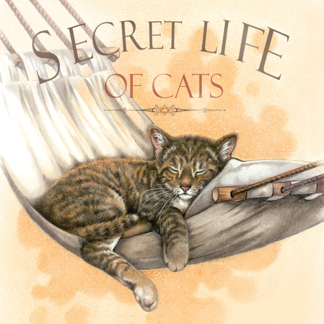 Set van 4 onderzetters - Kattenserie - Secret Life of Cats