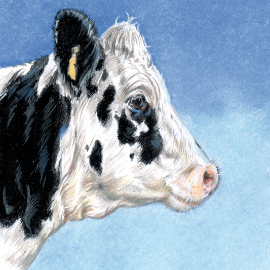 Set of 4 coasters - Cow series