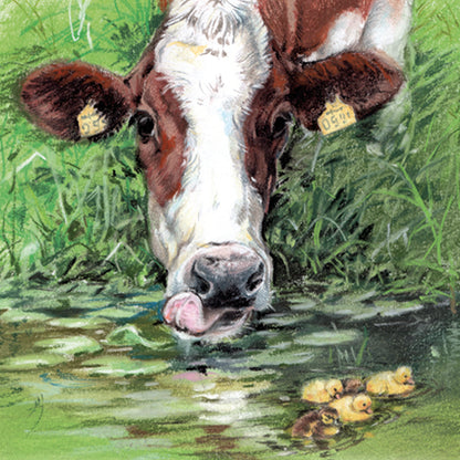 Set van 4 onderzetters - Koeienserie