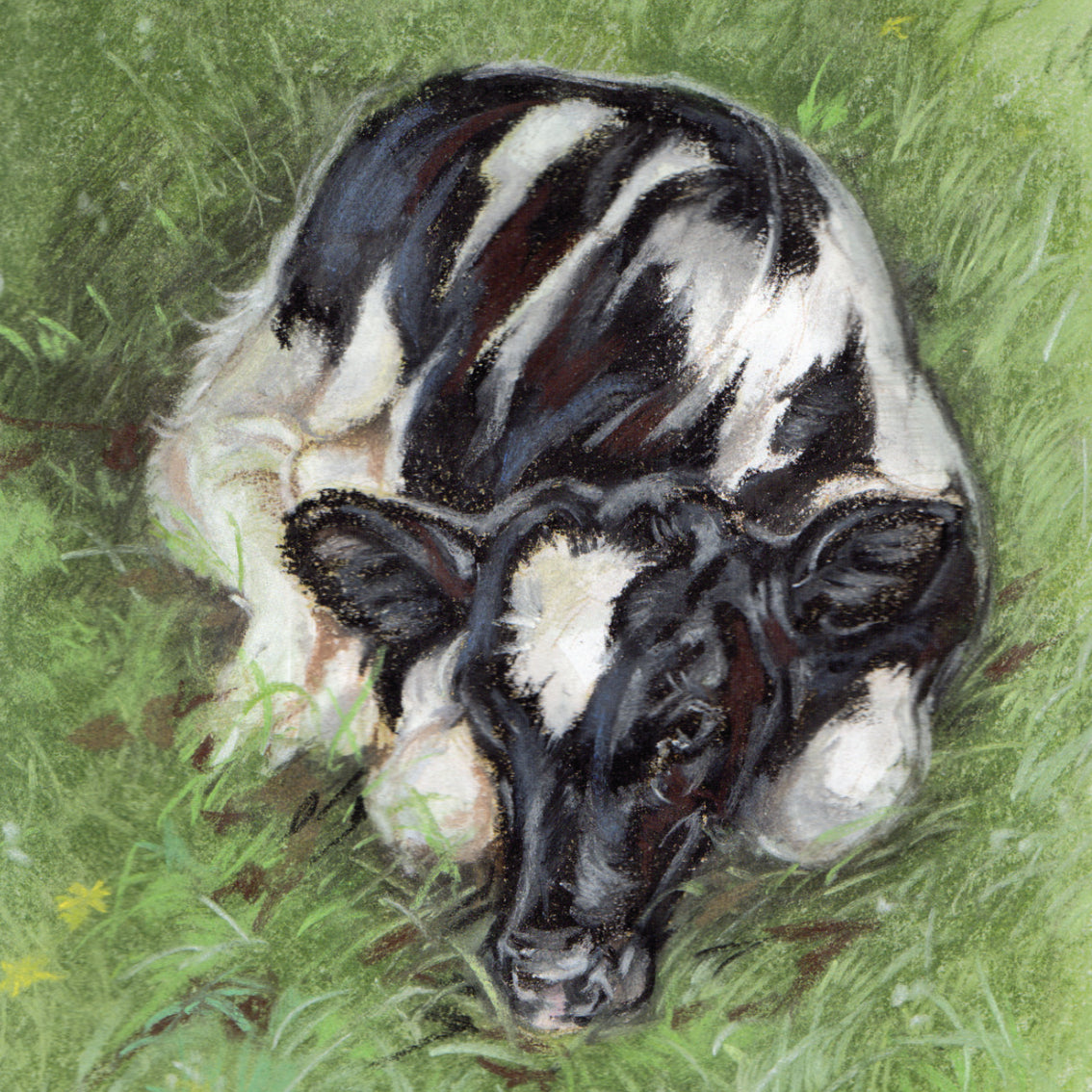 Set van 4 onderzetters - Koeienserie