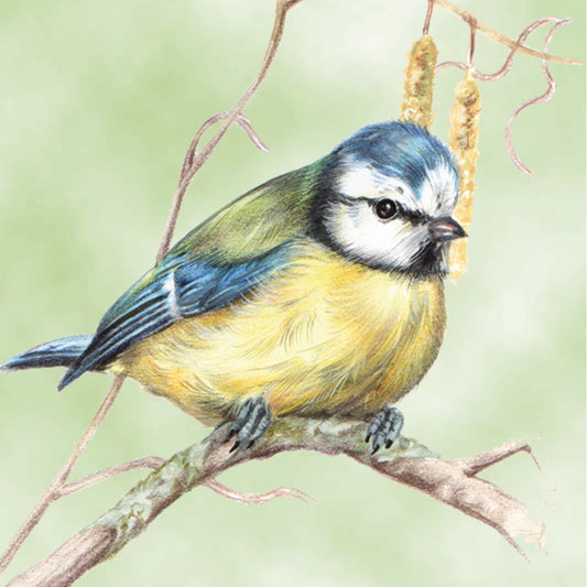 Set of 4 coasters - Bird series 2