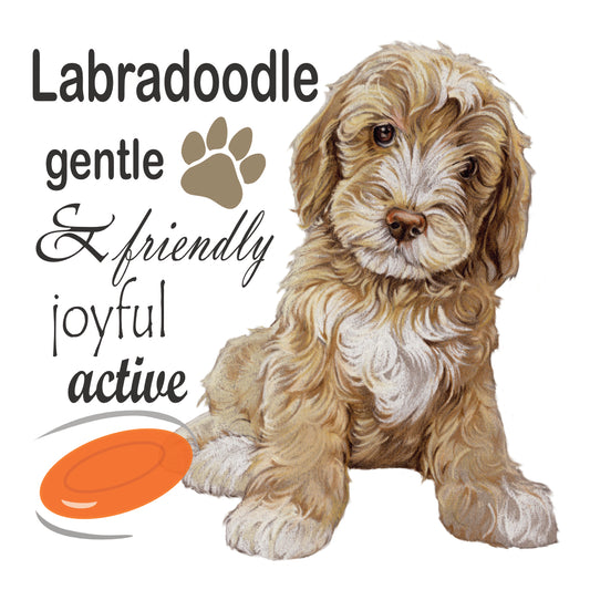 Onderzetter - 38-036 Labradoodle