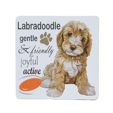 Onderzetter - 38-036 Labradoodle