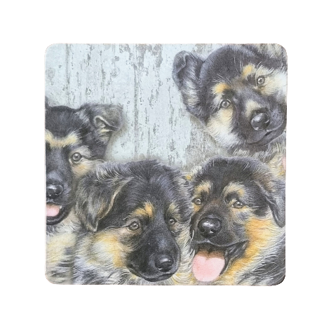 Onderzetter - 38-042 Duitse Herders