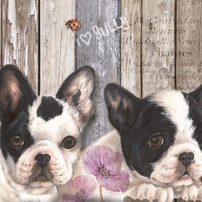 Onderzetter - 38-043 Franse Bulldogs