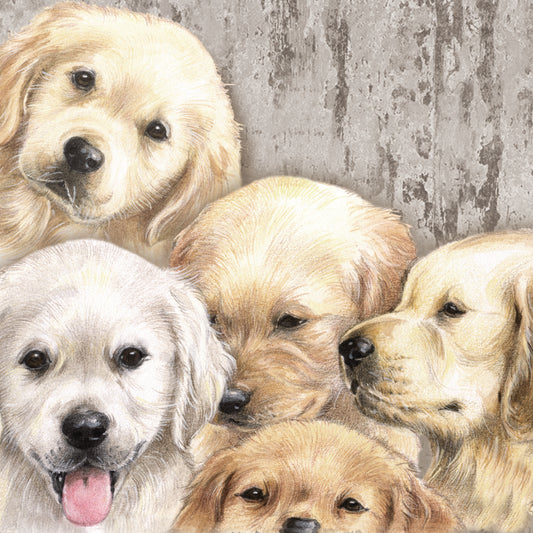 Onderzetter - 38-044 Golden Retriever pups