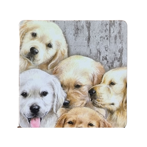 Onderzetter - 38-044 Golden Retriever pups