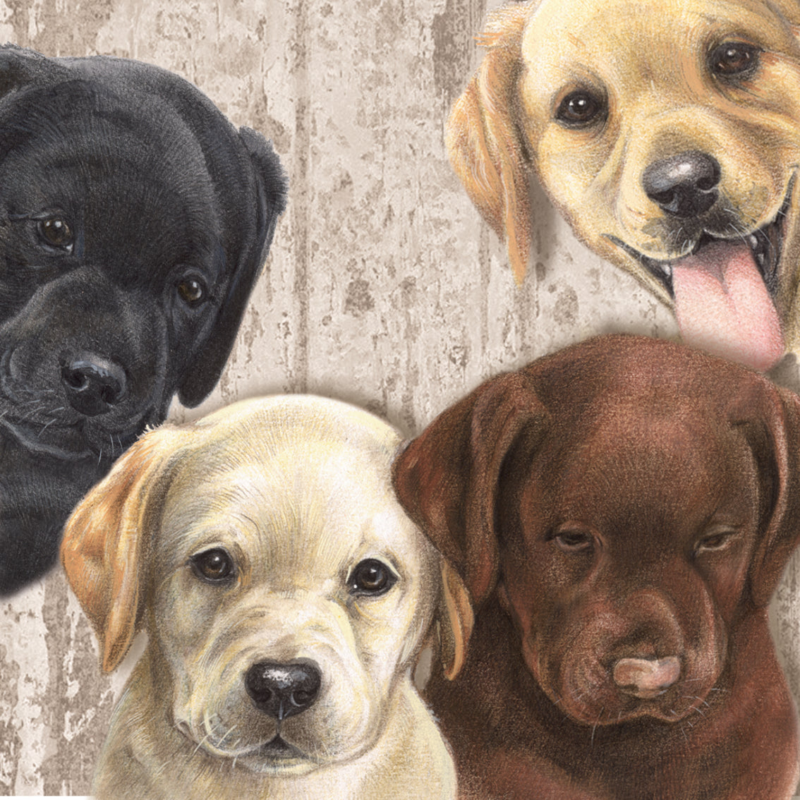 Onderzetter - 38-045 Labrador Retriever pups