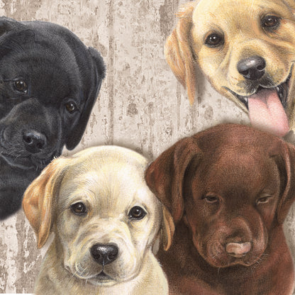 Onderzetter - 38-045 Labrador Retriever pups