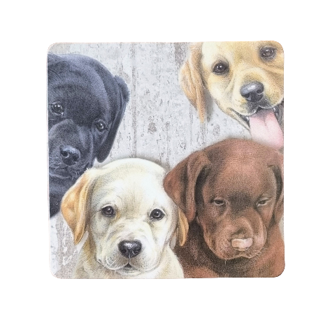 Onderzetter - 38-045 Labrador Retriever pups
