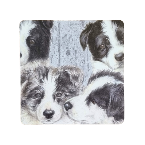 Onderzetter - 38-046 Border Collie pups