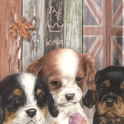 Onderzetter - 38-047 Cavalier King Charles Terriers