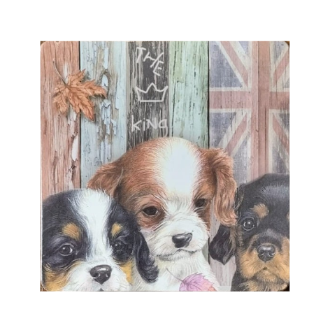 Onderzetter - 38-047 Cavalier King Charles Terriers