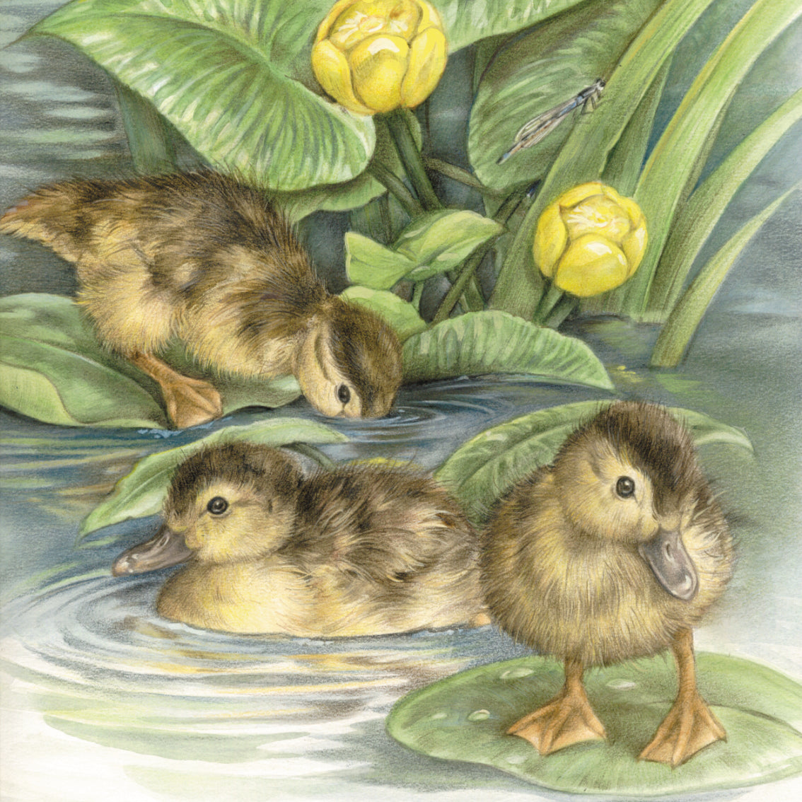 Coaster 38-032 - Garden Birds 4