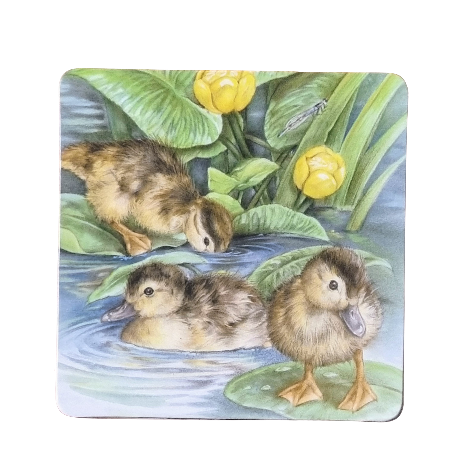 Coaster 38-032 - Garden Birds 4