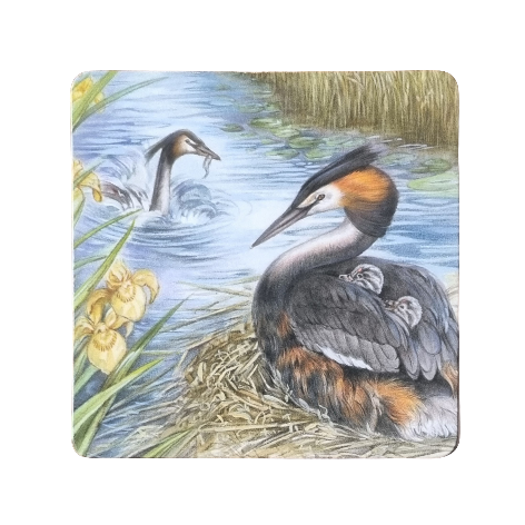 Onderzetter - 38-050 Eend met jonge kuikens - Fuut