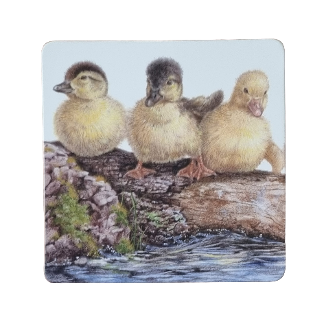 Onderzetter - 38-051  3 Jonge Eendjes