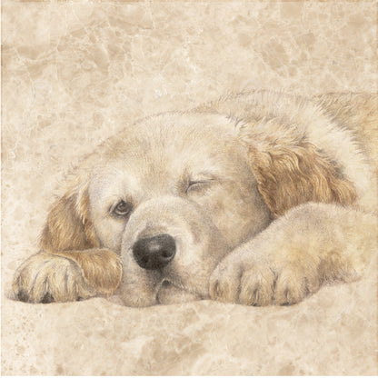 Coaster 38-032 - Garden Birds 4