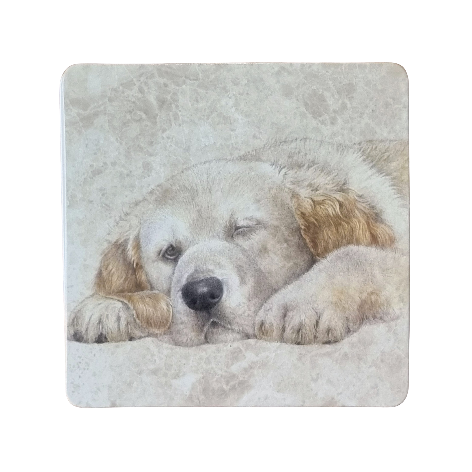 Onderzetter - 38-053 Slapende Golden Retriever pup
