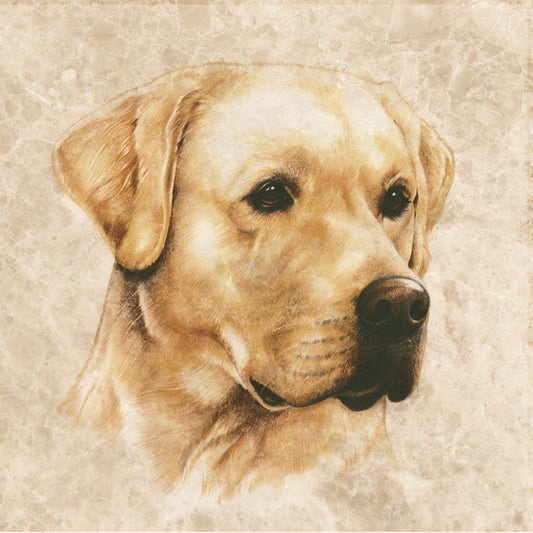 Onderzetter - 38-054 Blonde Labrador