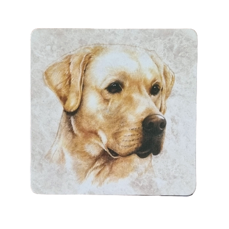 Coaster 38-032 - Garden Birds 4