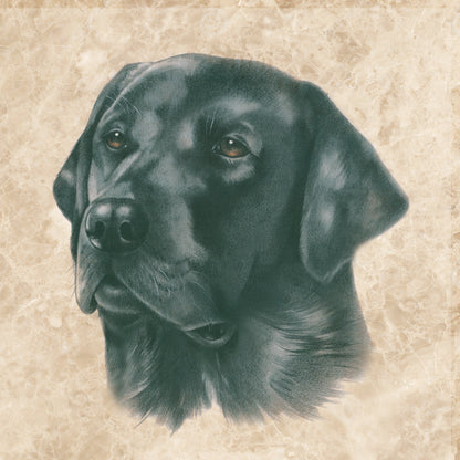 Onderzetter - 38-055 Zwarte Labrador