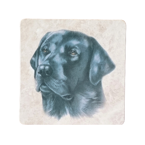 Onderzetter - 38-055 Zwarte Labrador