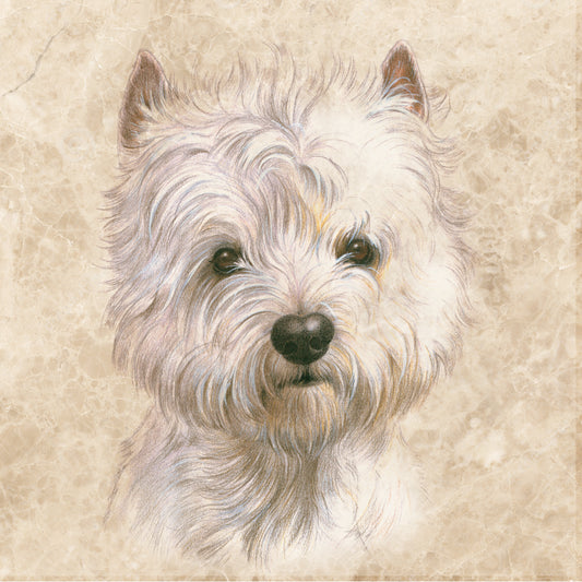 Onderzetter - 38-056 West Highland White Terrier