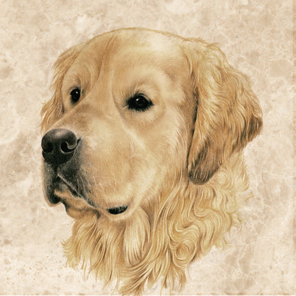 Untersetzer 38-032 - Gartenvögel 4