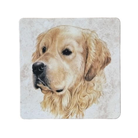 Untersetzer 38-032 - Gartenvögel 4