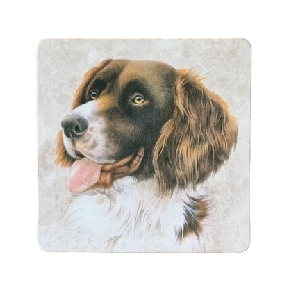 Onderzetter - 38-059 Drentsche Patrijshond