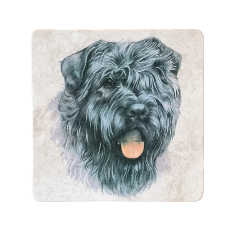 Onderzetter - 38-060 Bouvier