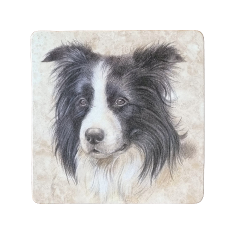 Onderzetter - 38-062 Border Collie