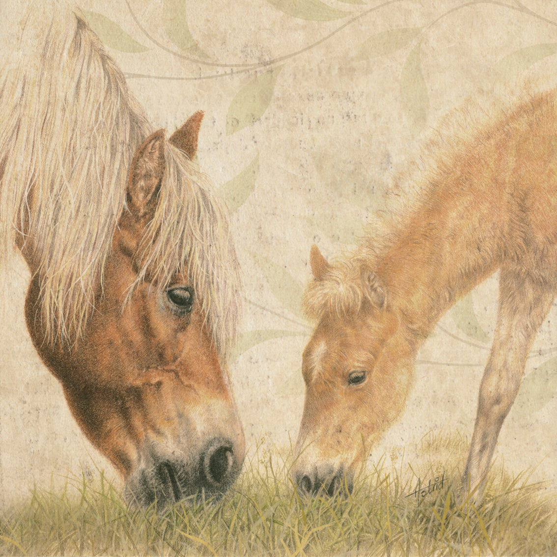 Onderzetter - 38-063 Haflingers