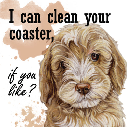 Onderzetter - 38-064 Labradoodle - I can clean your coaster
