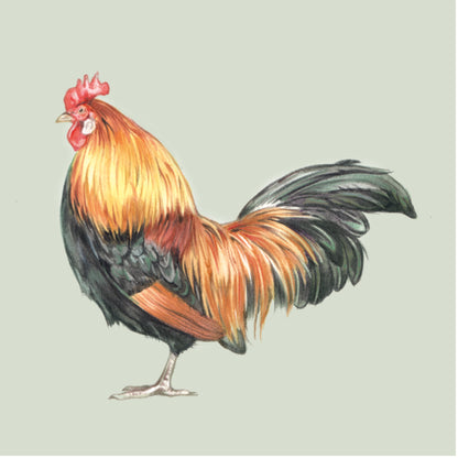 Onderzetter - 38-067 Kip Design 1