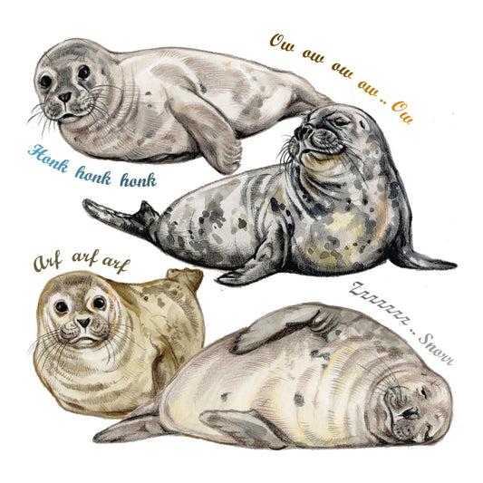 Onderzetter - 38-074 Zeehonden collage