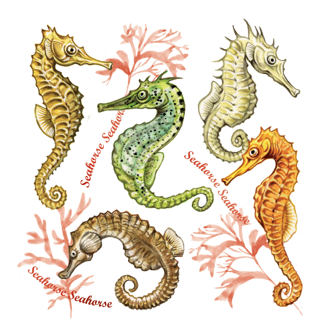 Onderzetter - 38-076 Zeepaarden collage