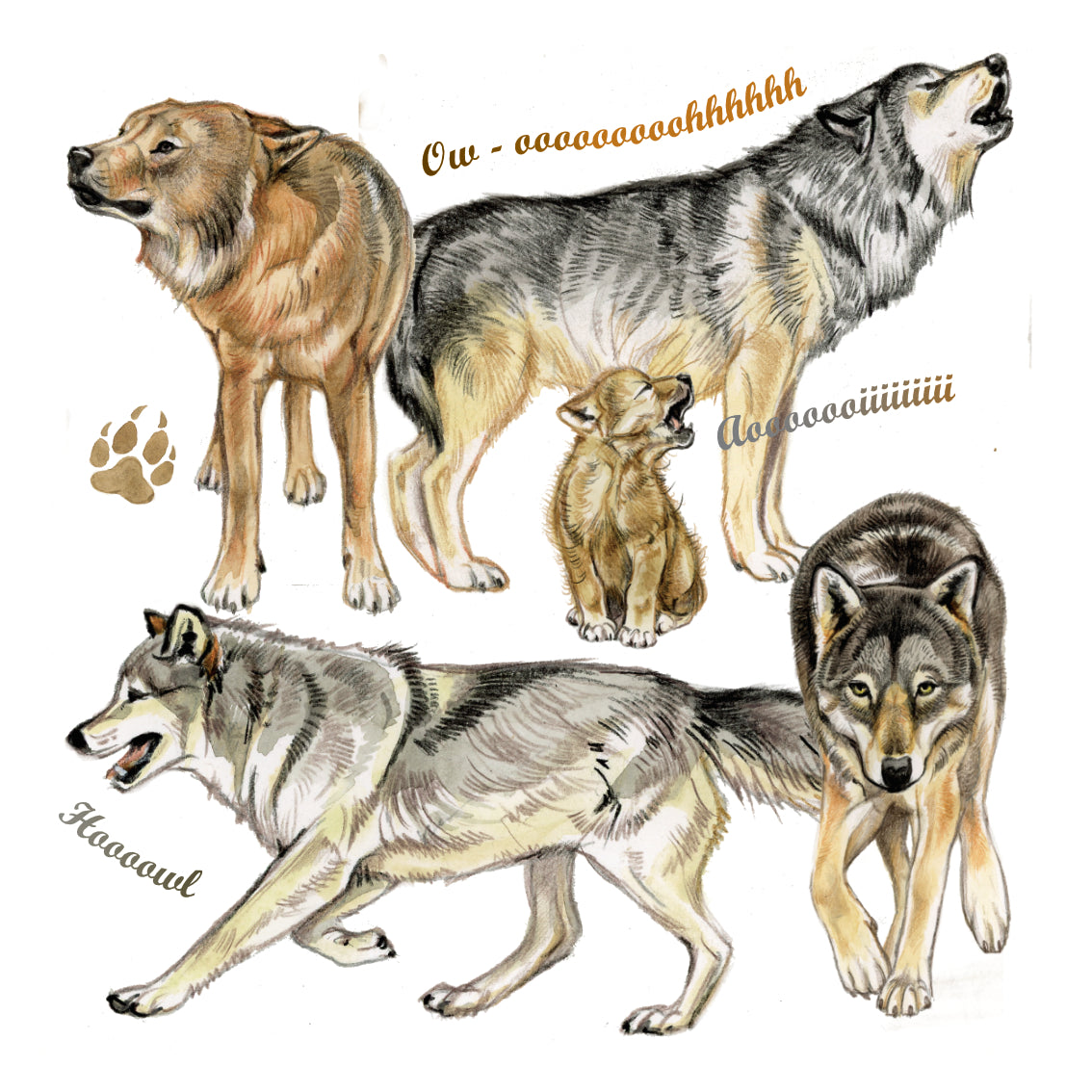 Onderzetter - 38-078 Wolven collage