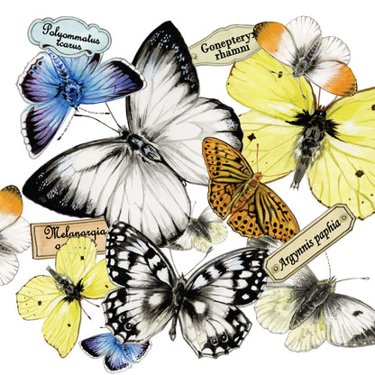 Onderzetter - 38-082 Vlinder collage