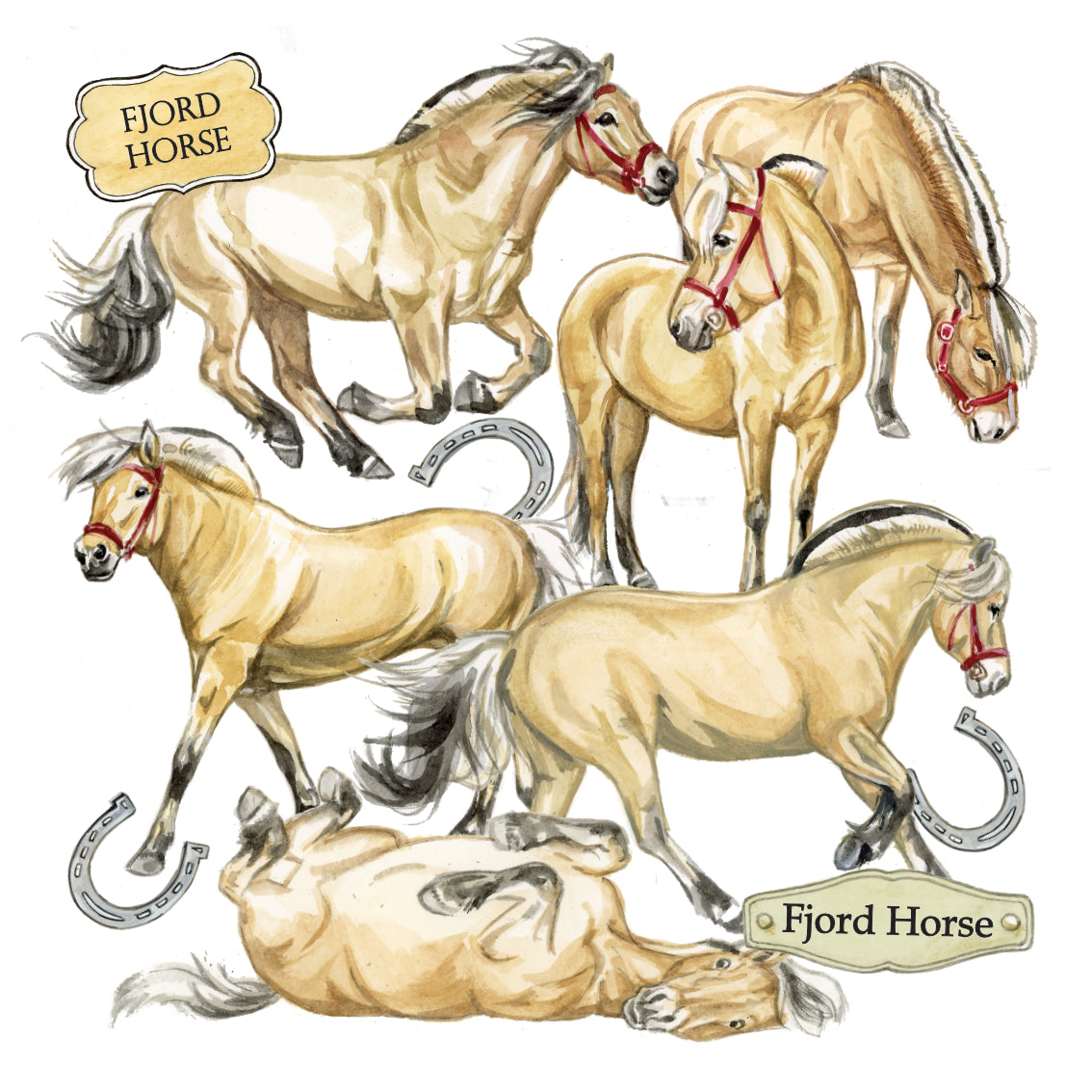 Onderzetter - 38-083 Fjorden collage