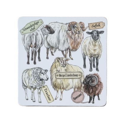 Onderzetter - 38-084 Schapen collage
