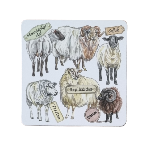 Onderzetter - 38-084 Schapen collage