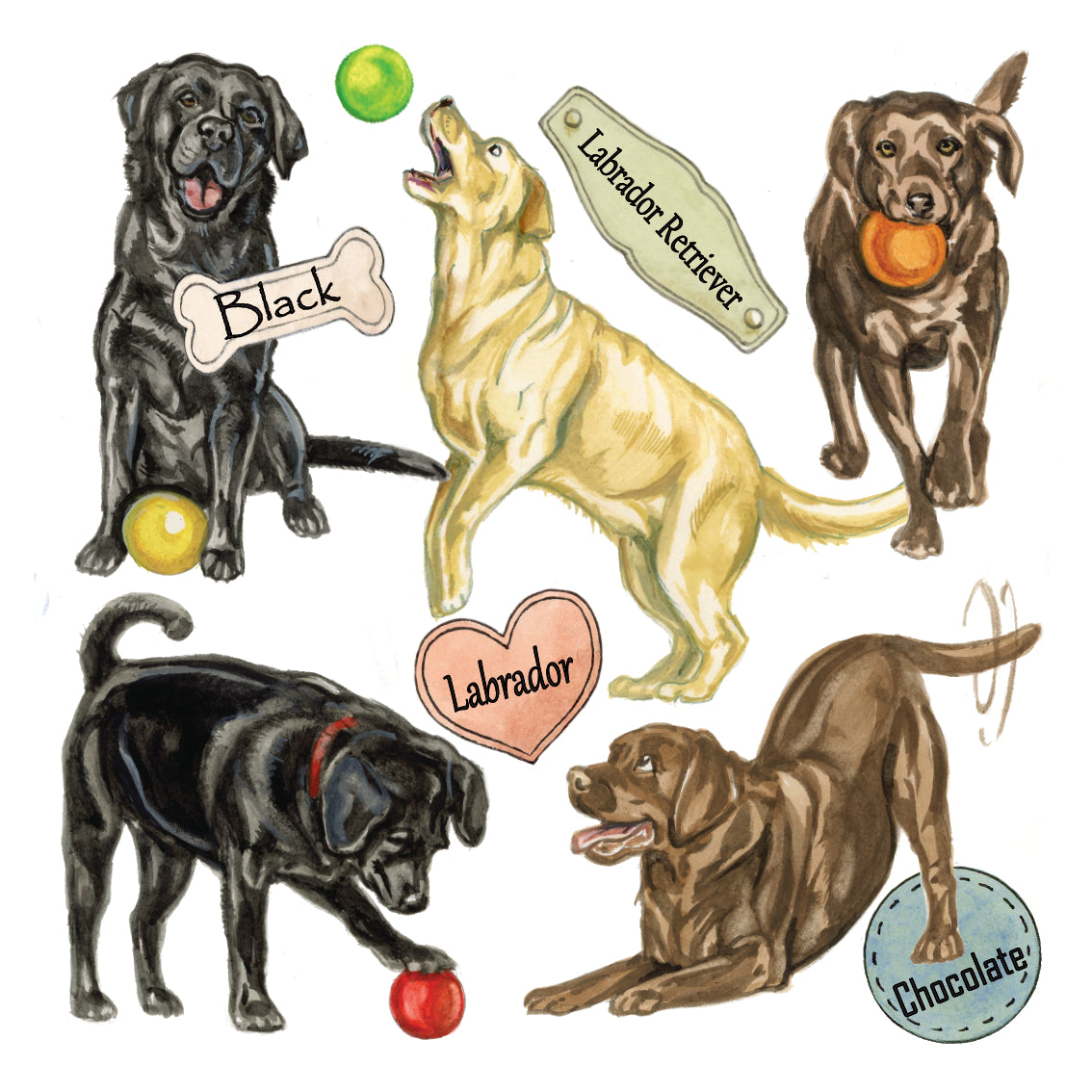 Onderzetter - 38-085 Labrador collage