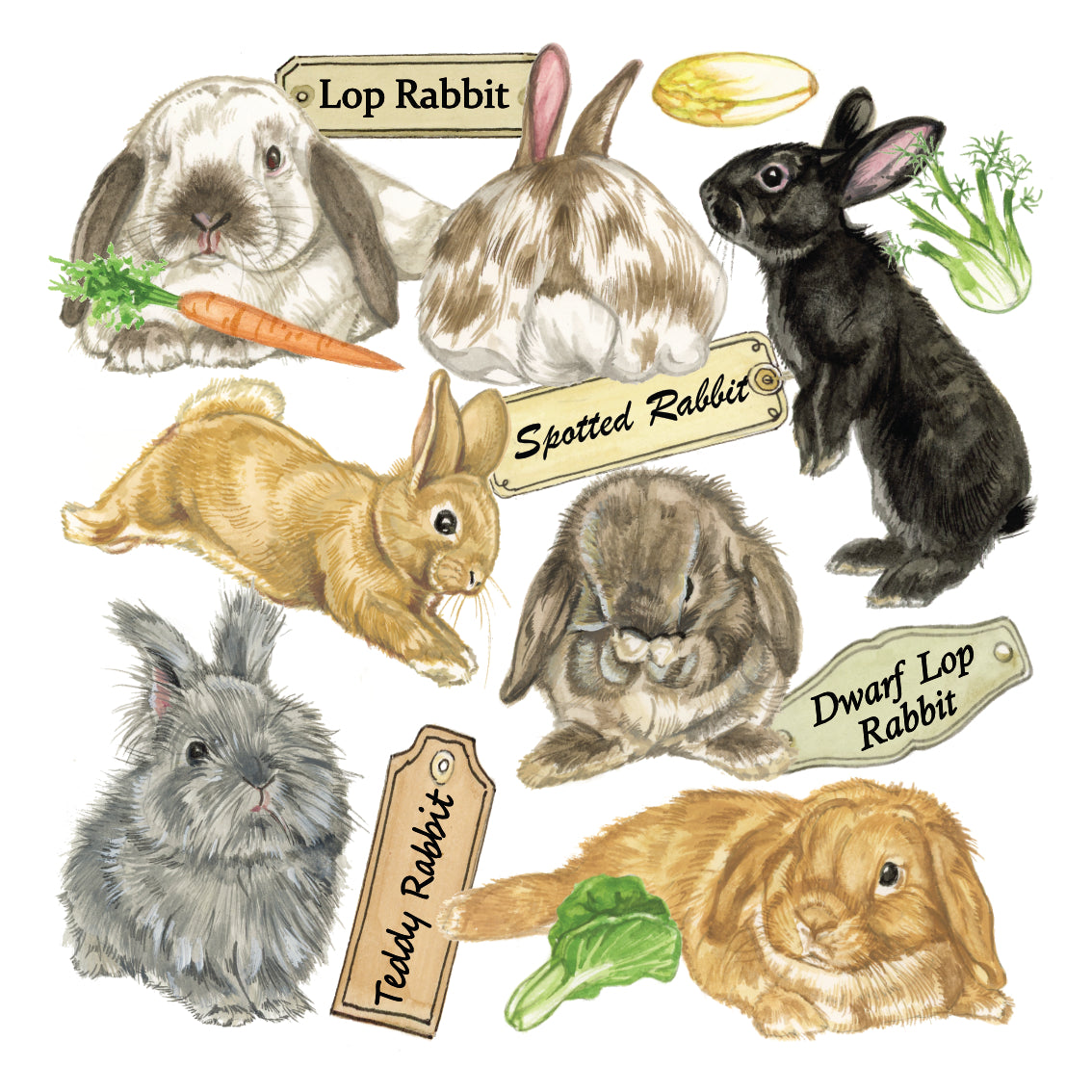 Onderzetter - 38-086 Konijnen collage