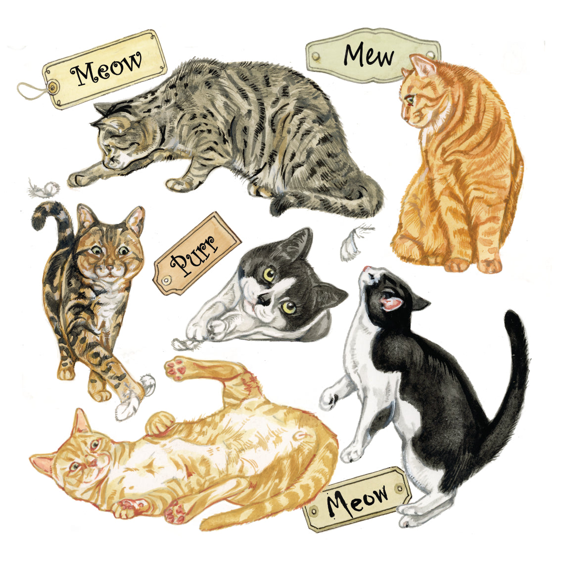 Onderzetter - 38-087 Katten collage